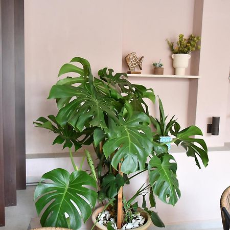 Casa Enetiko Otel Hanya Dış mekan fotoğraf