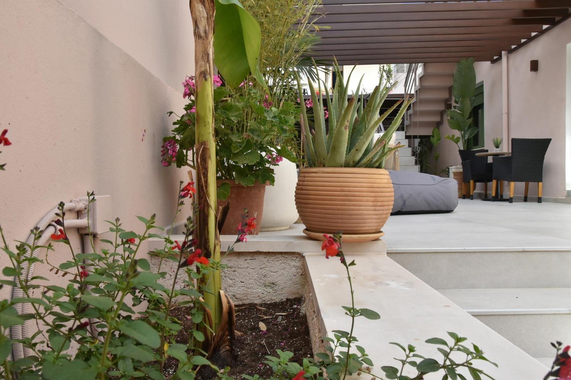 Casa Enetiko Otel Hanya Dış mekan fotoğraf